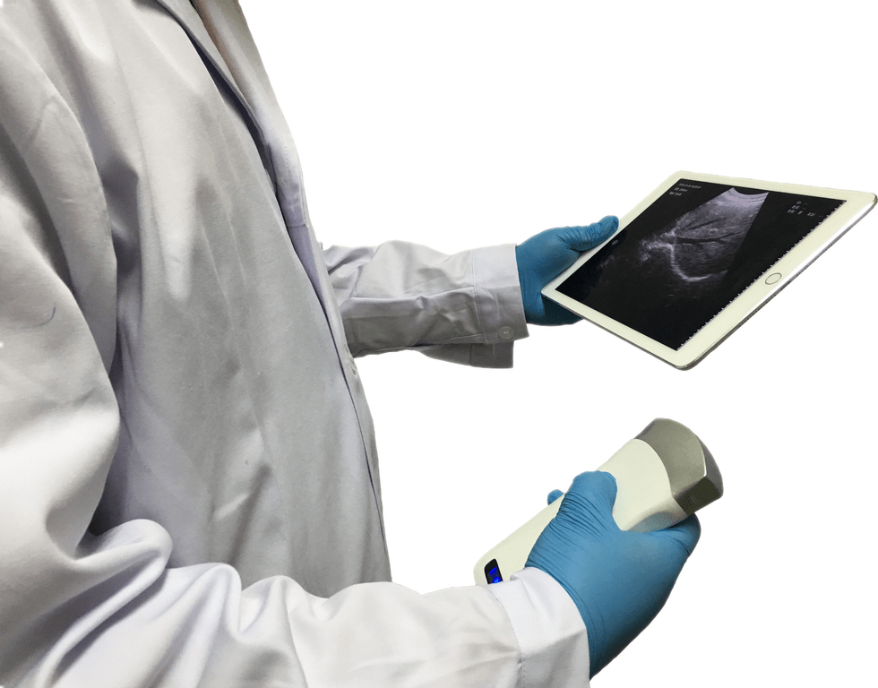 C10RN B&W Abdomen Ultrasound Convex Probe