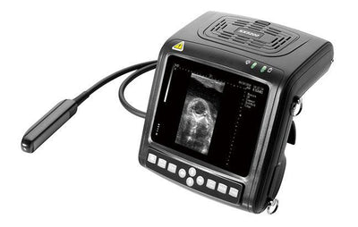 KX5200V VETERINARY ULTRASOUND