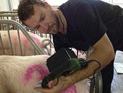 KX5200V VETERINARY ULTRASOUND