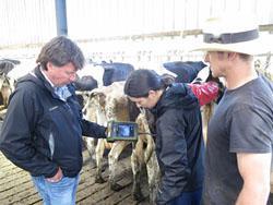 KX5200V VETERINARY ULTRASOUND