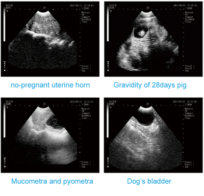 MSU3 Digital Mechanical Sector Ultrasound